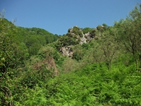 qua Rocca10062012 105